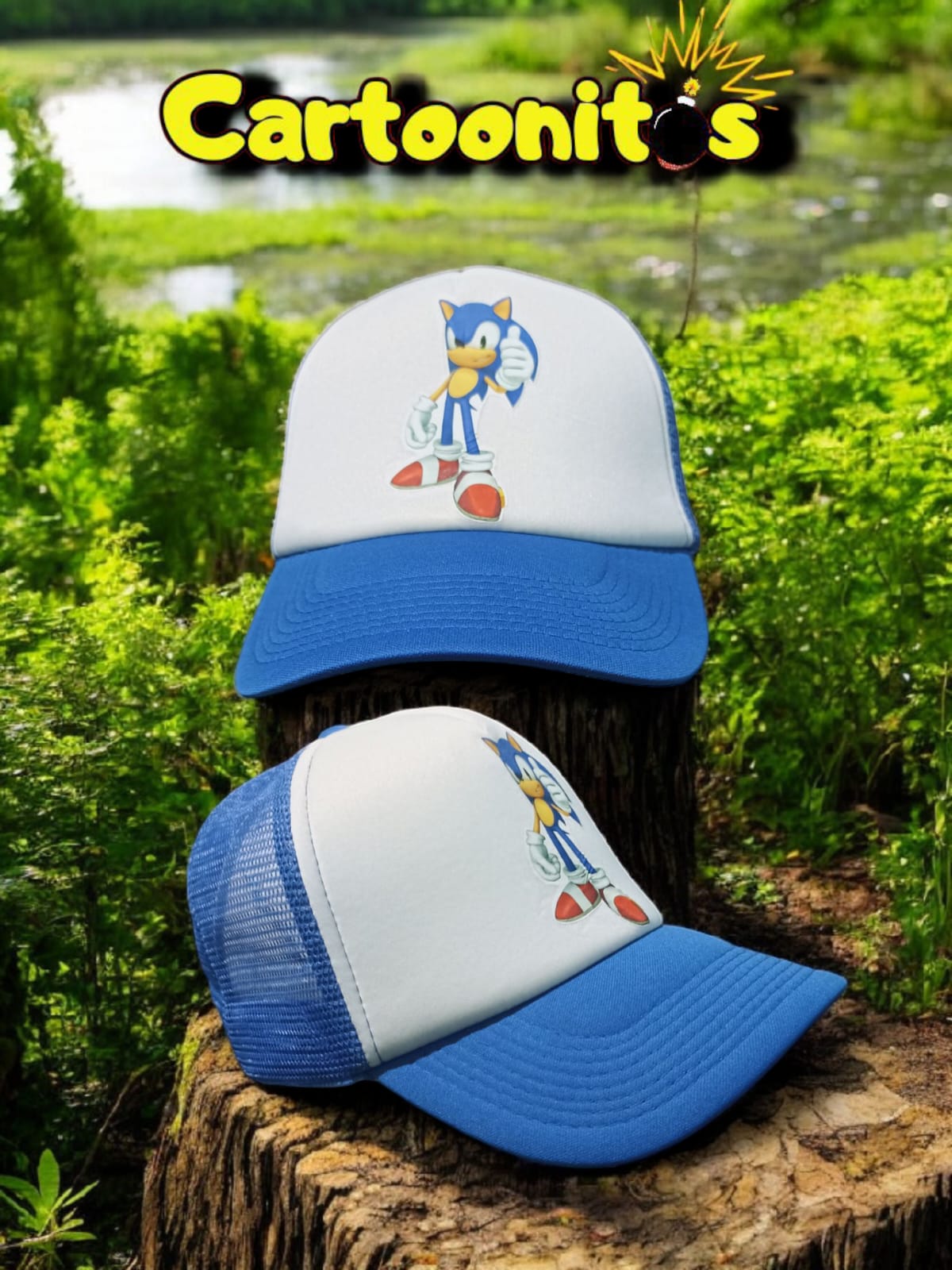Sonic y amigos