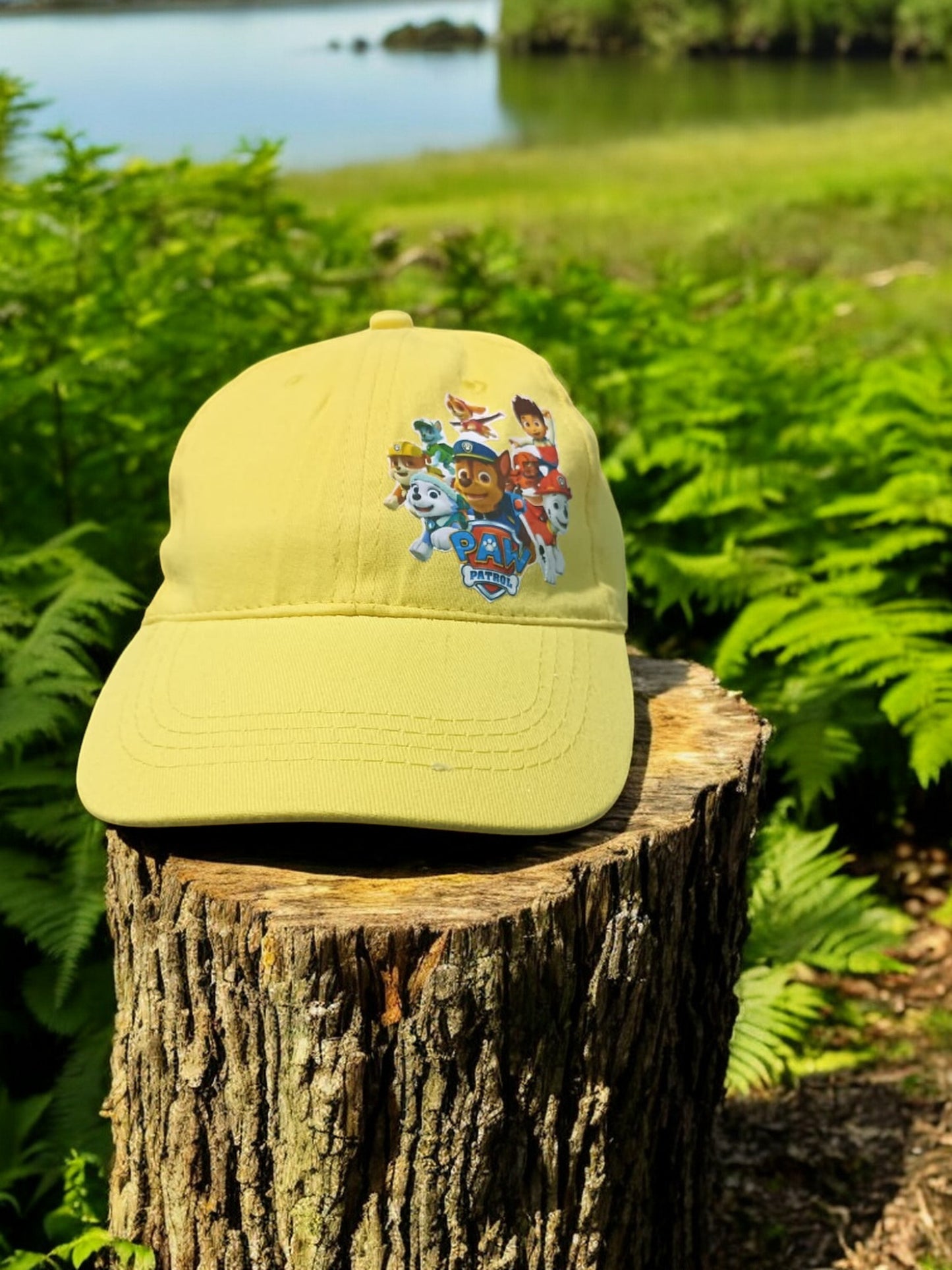 Gorra Paw Patrol